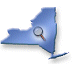 NYS Map Icon
