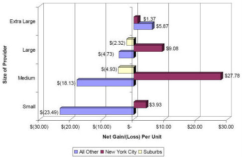 Day Treatment  Net Gain/(Loss) Per Unit by Size and Geographic Location