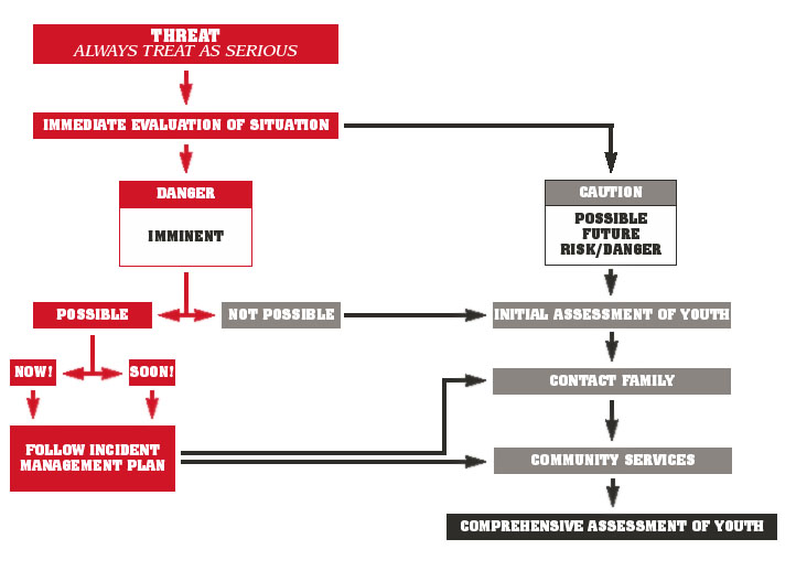Managing Situations Flow Chart